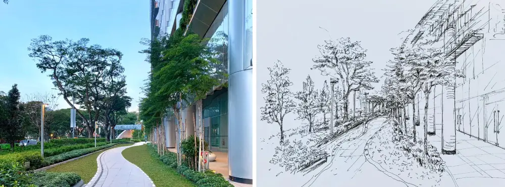 Landscape Sketch Demo by Visual Arts Centre Professional Teacher
