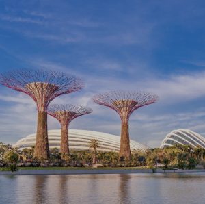 Overseas Student Exchanges with Visual Arts Centre