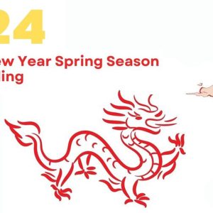2024 chinese new year spring season team bonding