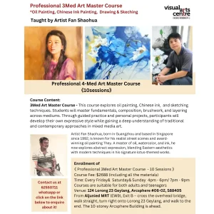 Professional 3Med Art Masterclass in Singapore