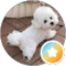 Cia Licia profile picture