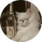Zi Hui profile picture