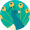 Klook User profile picture